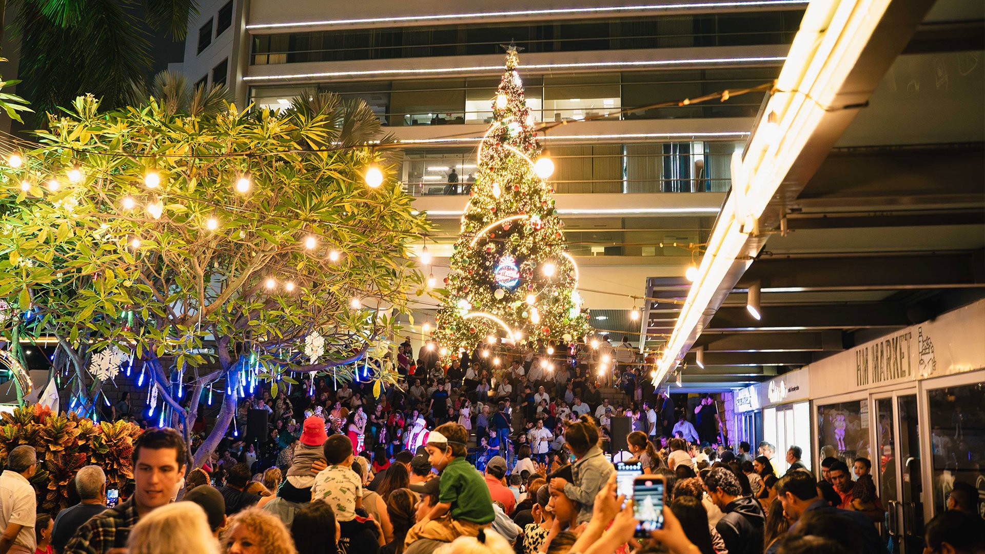 Vive la magia de la Navidad con los momentos únicos que nuestras marcas han preparado para ti.